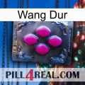 Hard Wang 02